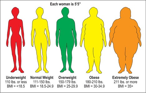 Body Mass Index Bmi Hi Fitness Club